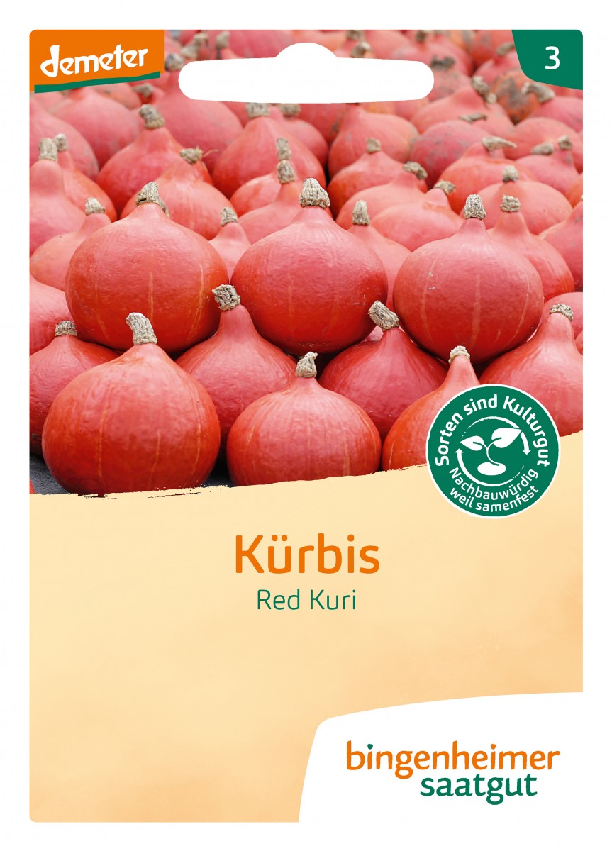 Bingenheimer Saatgut Kürbis Hokkaido Red Kuri
