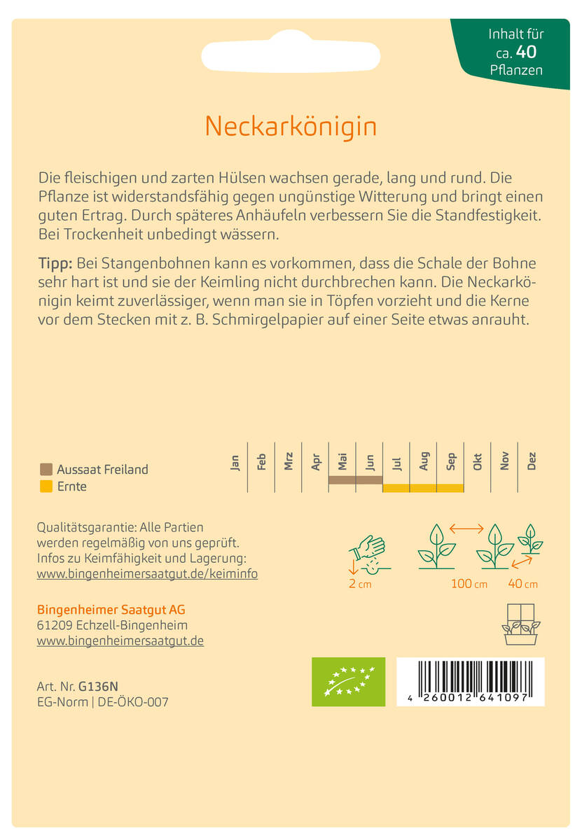 Bingenheimer Saatgut Stangenbohne Neckarkönigin