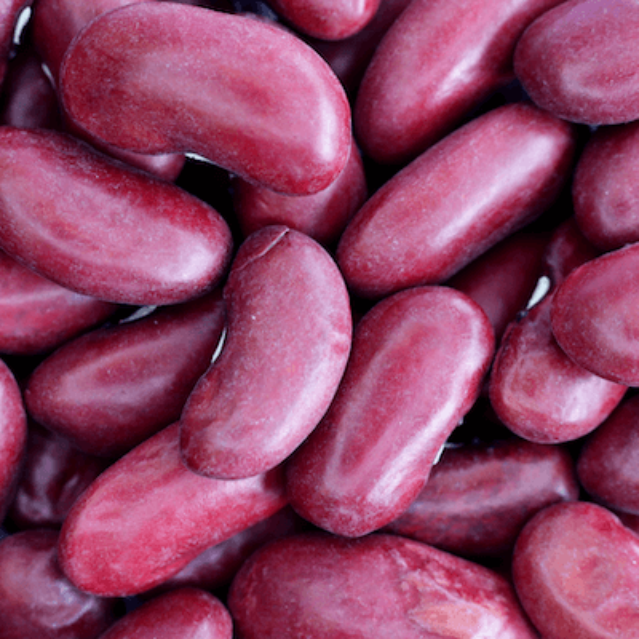 Haricots rouges bio 25 kg