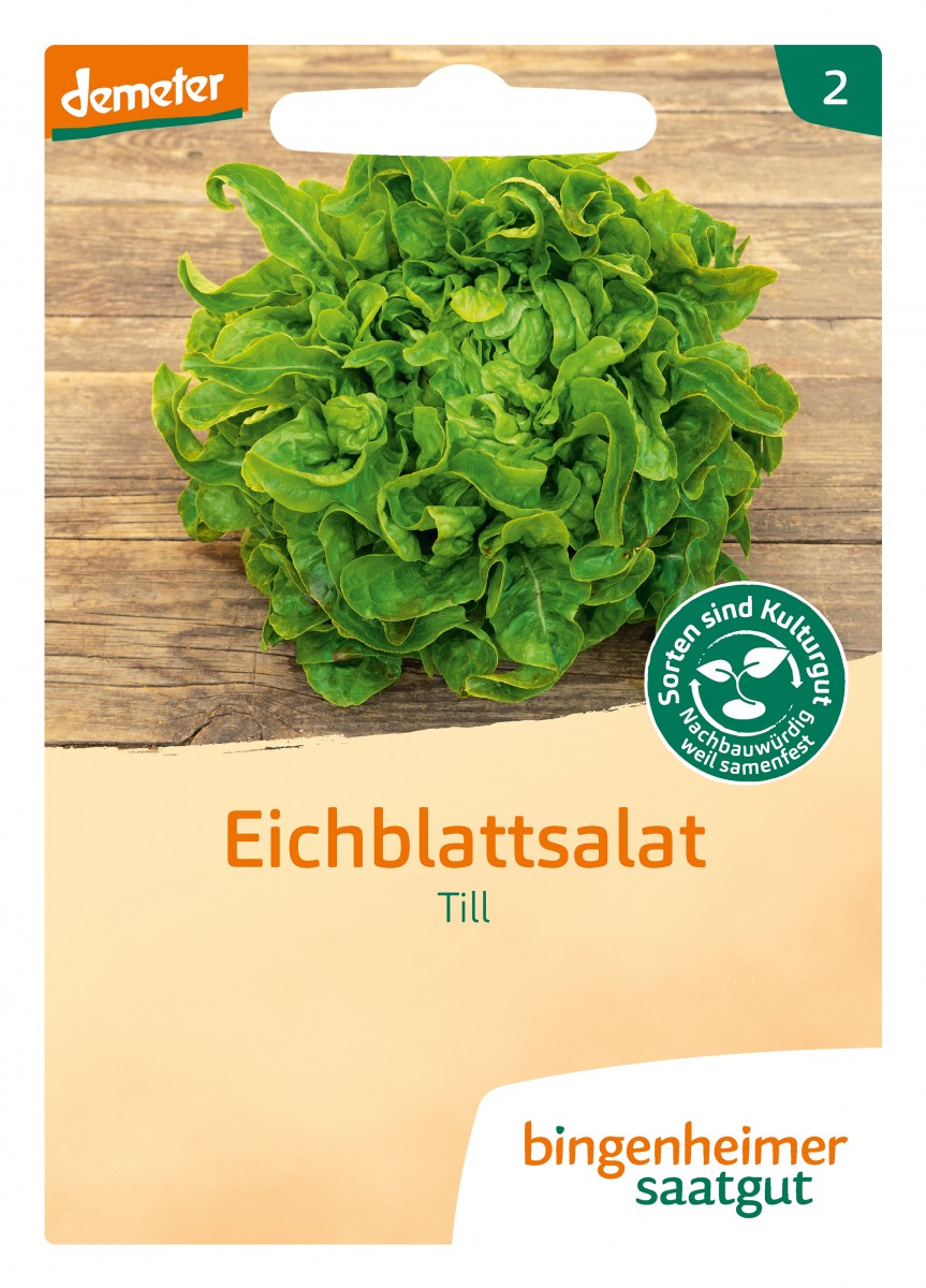 Bingenheimer Saatgut Eichblattsalat Pflücksalat