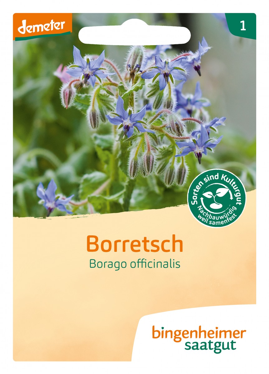 Bingenheimer Saatgut Borretsch