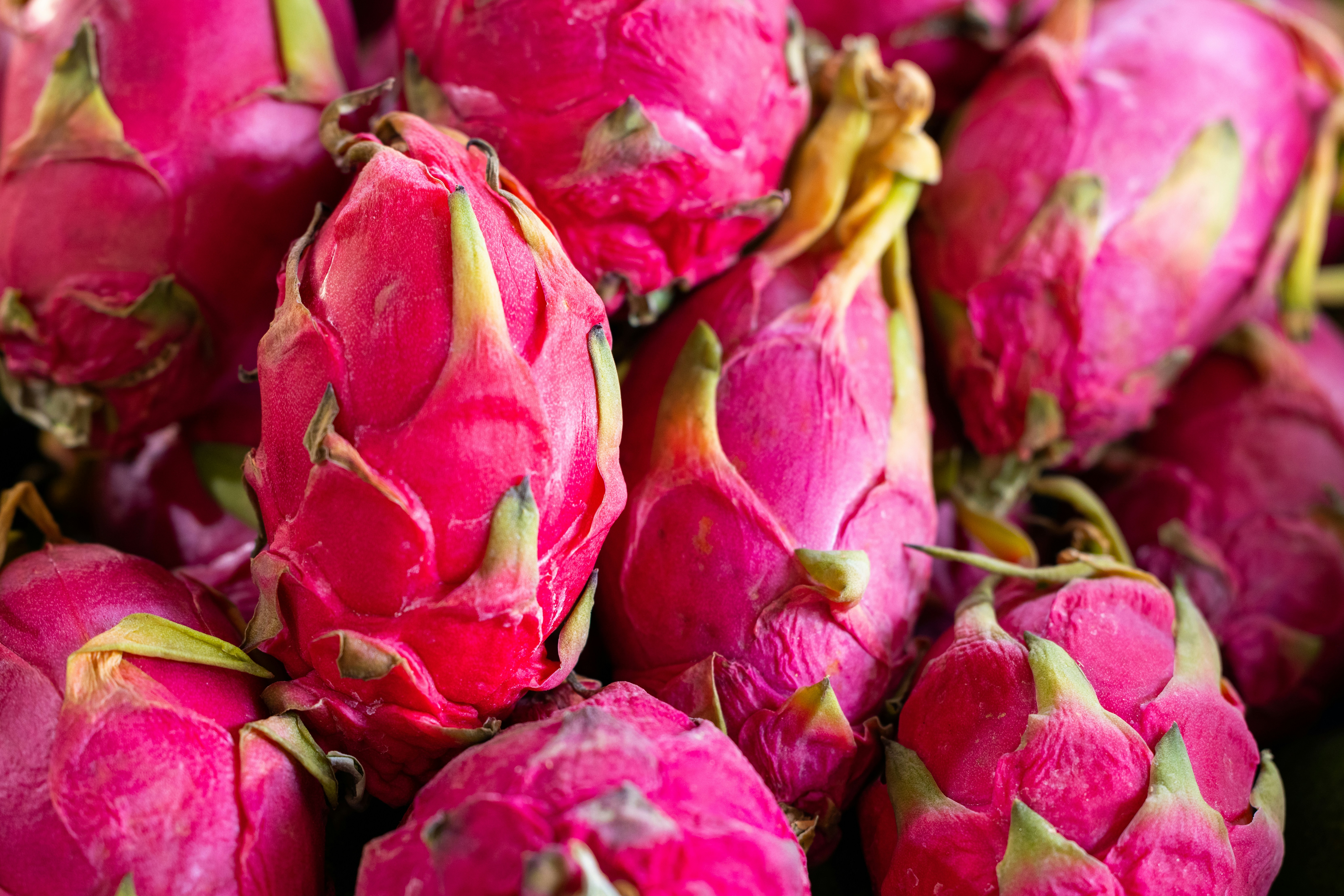 Cubetti di pitaya bio liofilizzati
