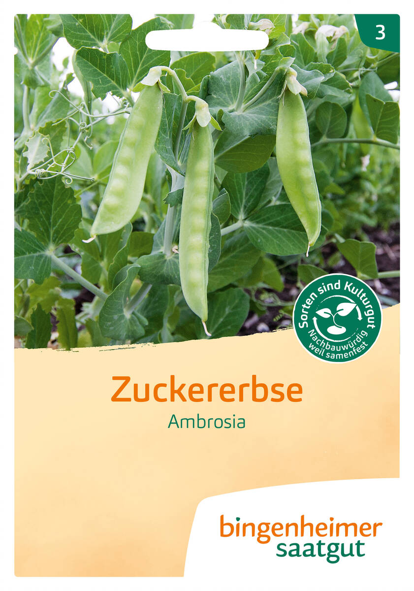 Bingenheimer Saatgut Zuckererbse Ambrosia