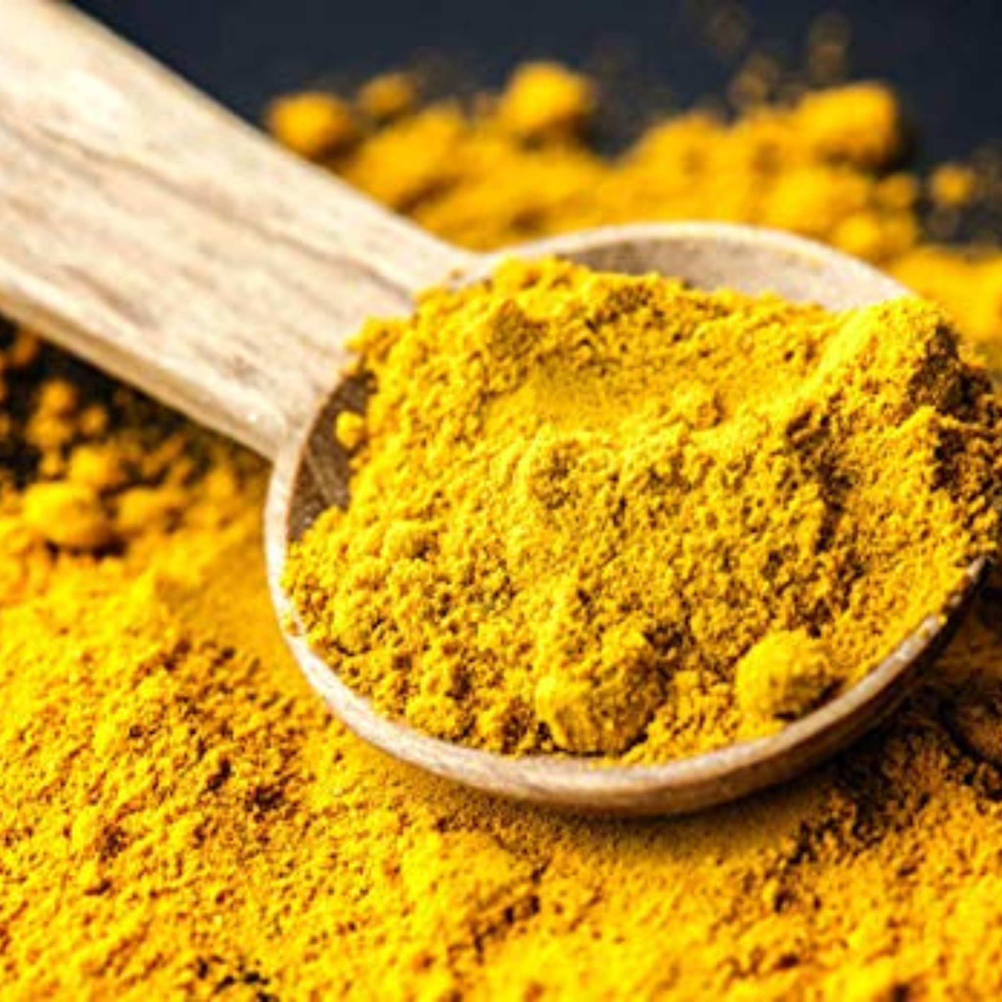 Poudre de curcuma biologique 1 kg