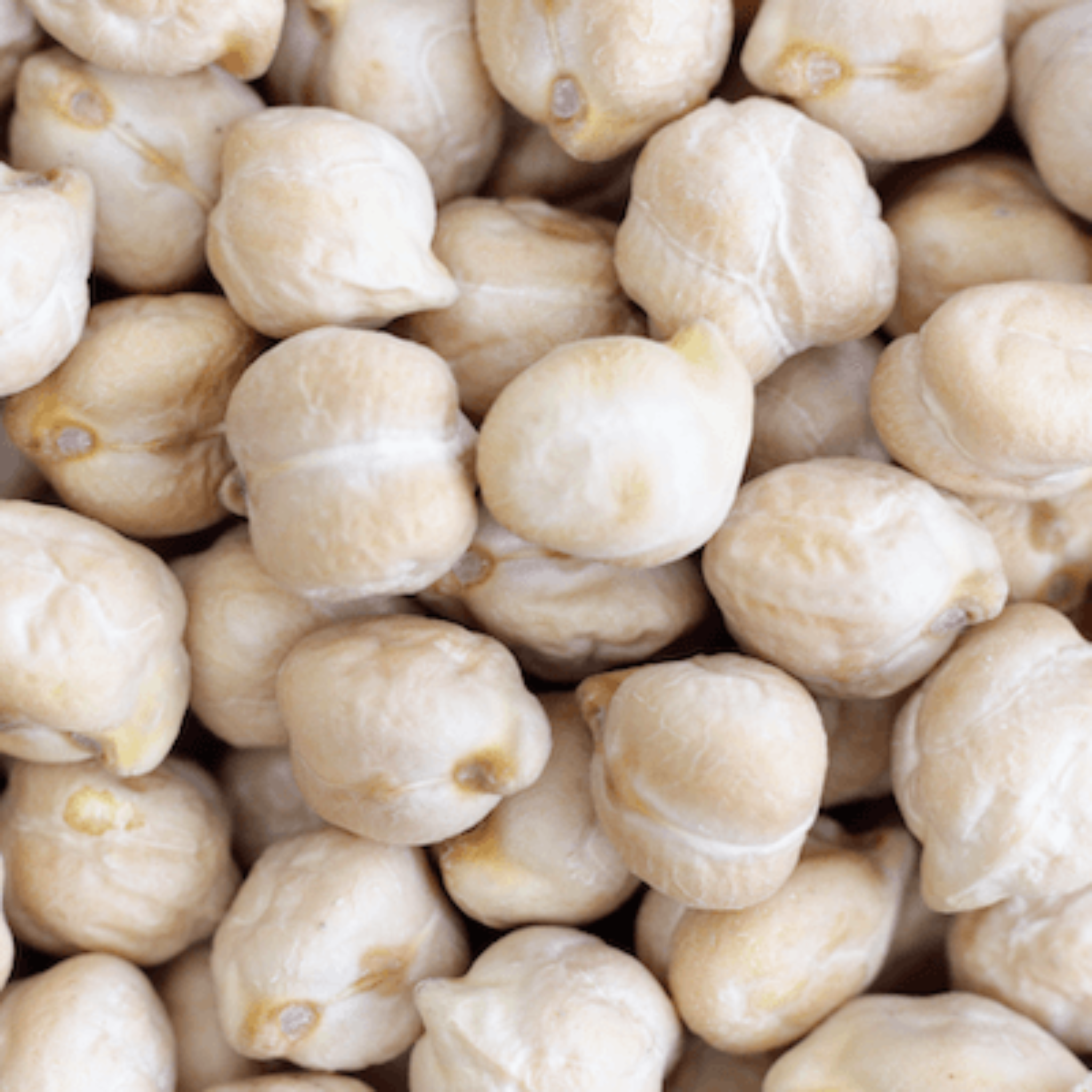 Bio Kichererbsen 2,5kg
