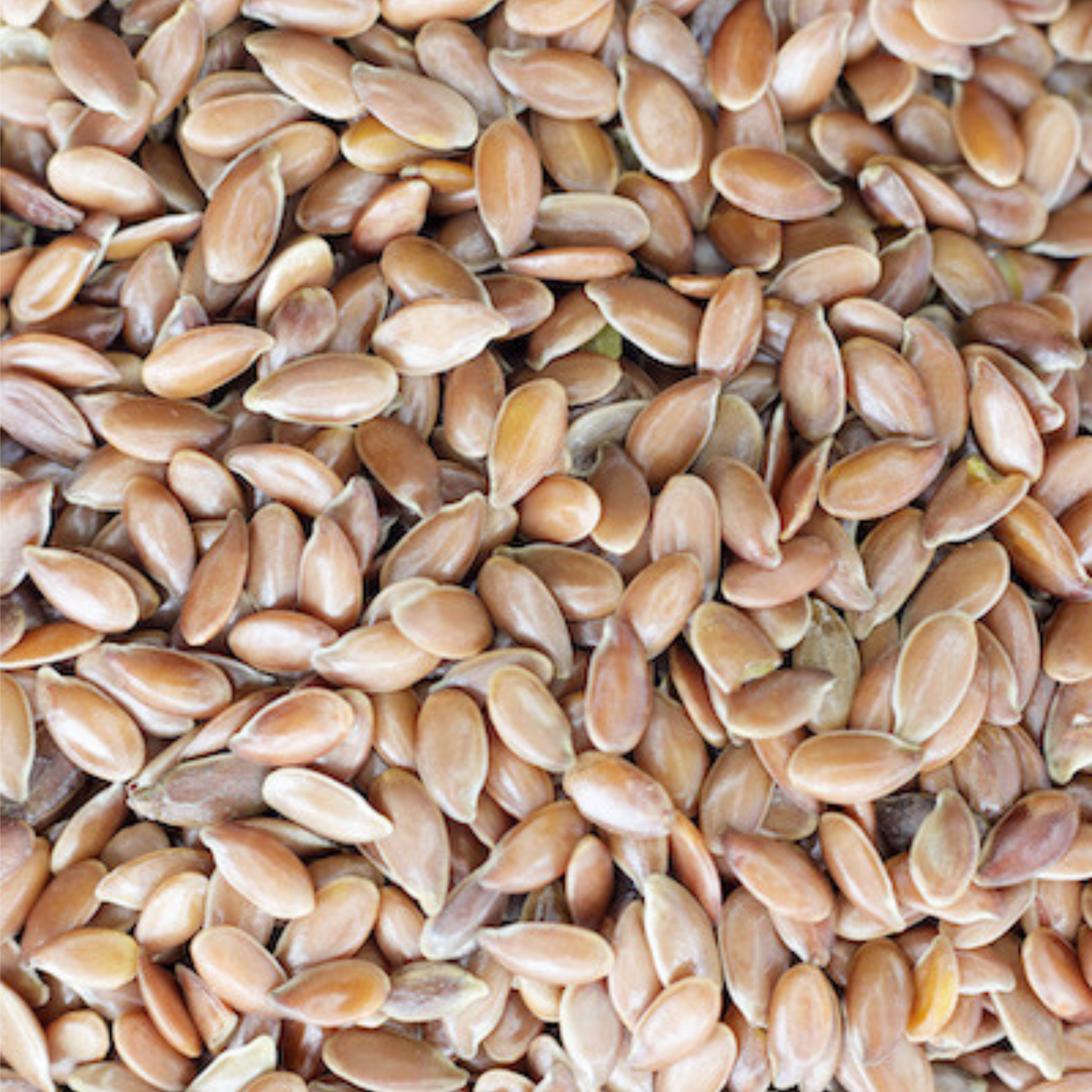 Graines de lin biologiques, entières 1 kg