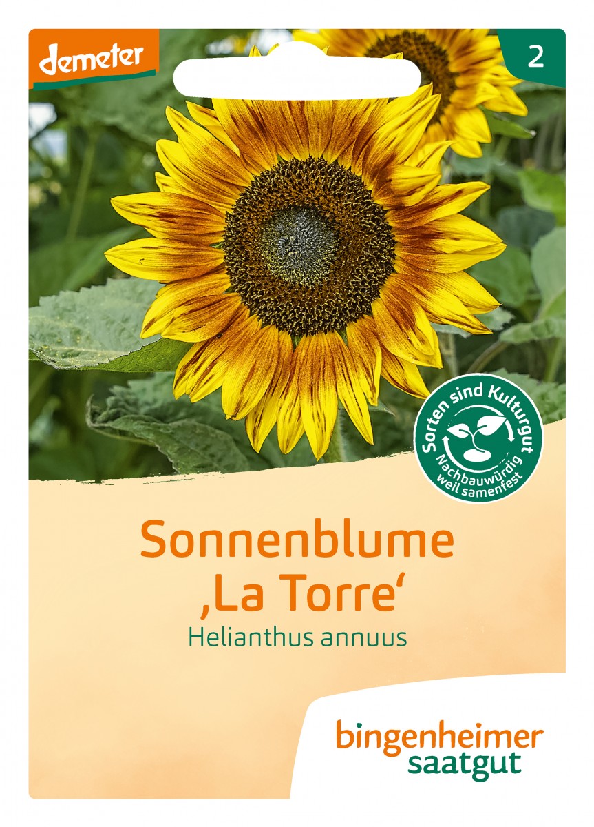 Bingenheimer Saatgut Sonnenblume La Torre