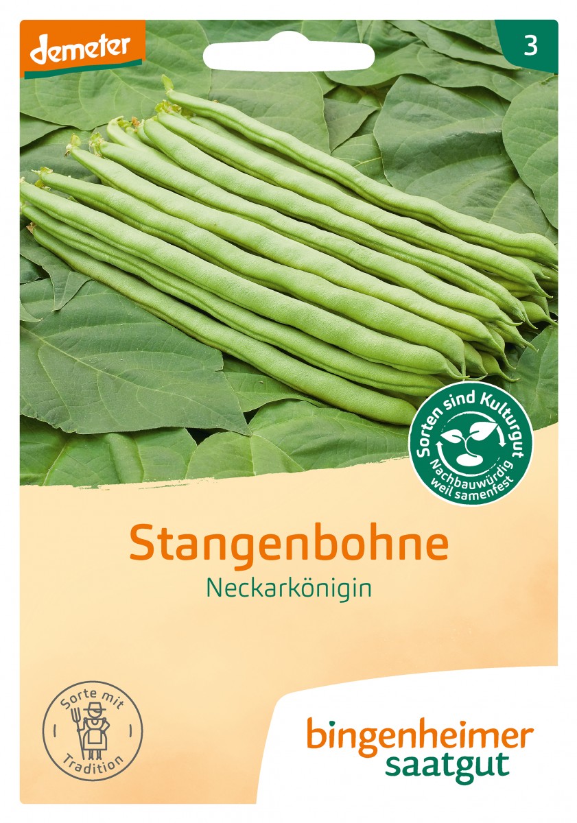 Bingenheimer Saatgut Stangenbohne Neckarkönigin