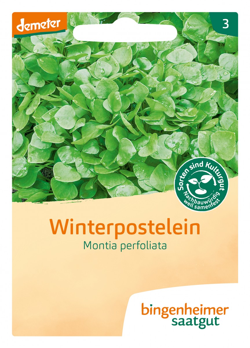 Bingenheimer Saatgut Winterpostelein