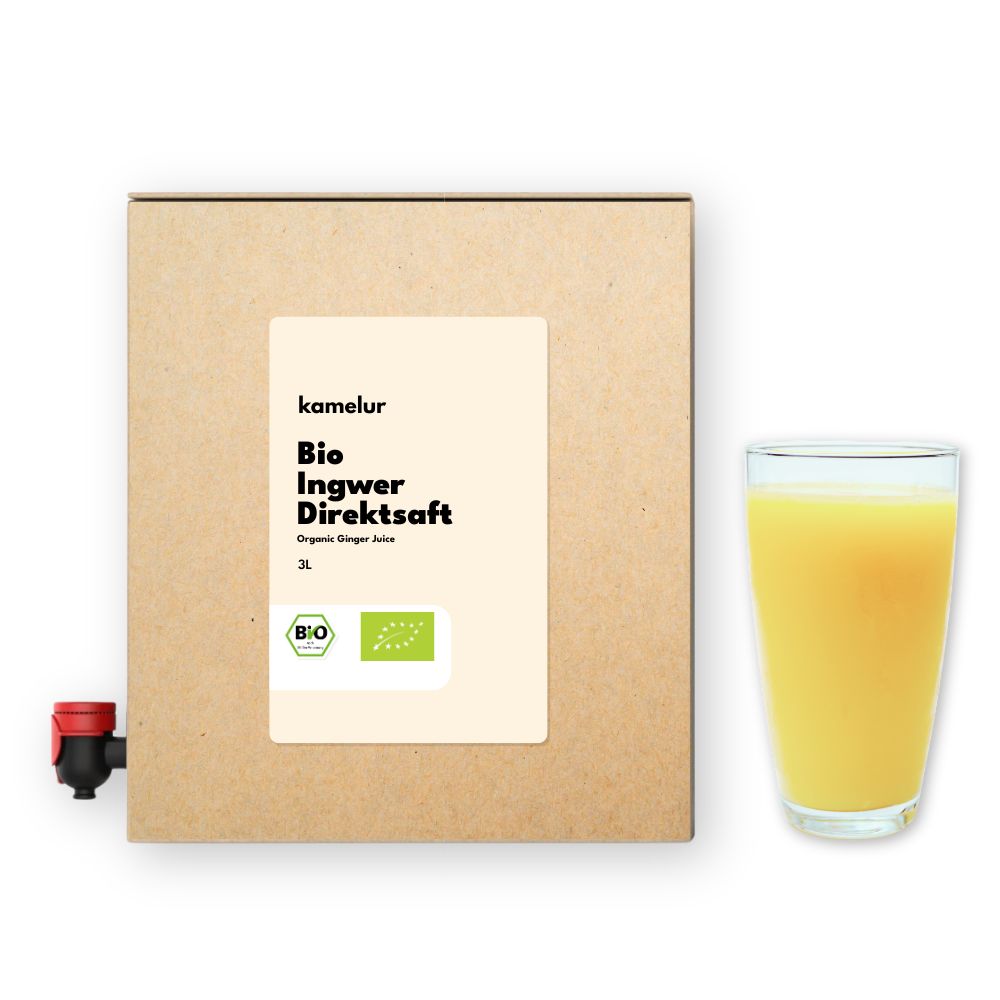 Jus de gingembre bio, 3l