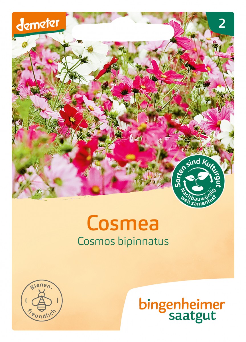 Bingenheimer Saatgut Cosmea