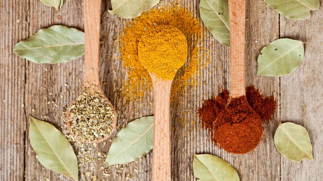 Especias en polvo