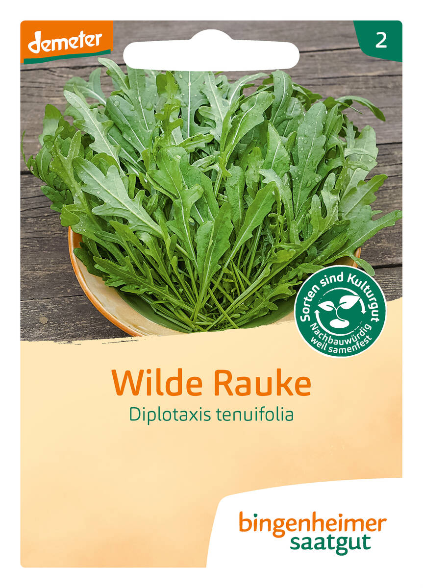Bingenheimer Saatgut Rucola Wilde Rauke