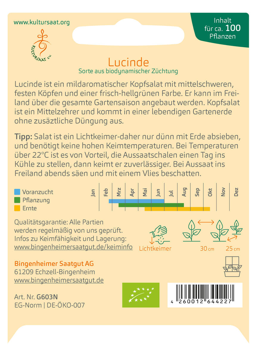 Bingenheimer Saatgut Kopfsalat Lucinde