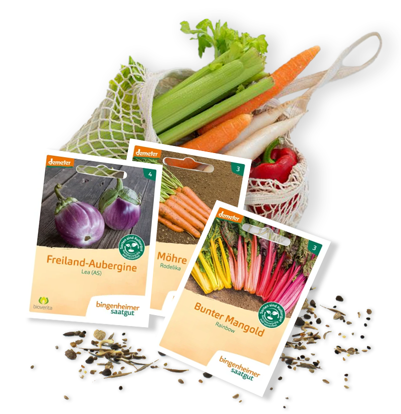 Sembrar. Asombrarse. Cosechar. Semillas Bingenheimer.